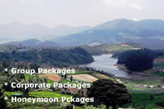 Best Ooty Packages