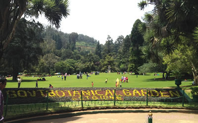 Botanical Garden Photo