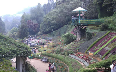 Botanical Garden Photo