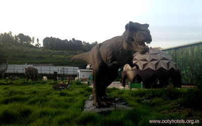 Dinosaur Park Photo