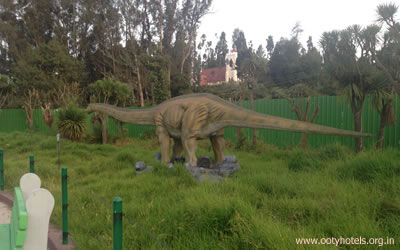 Dinosaur Park Photo