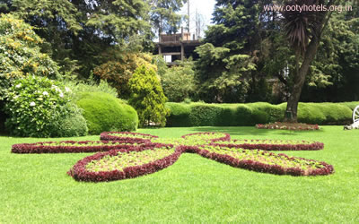 Flower Show Photo