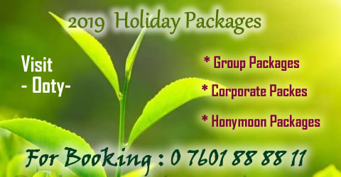 Best Ooty Packages